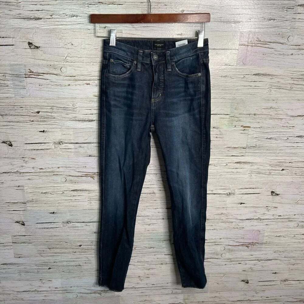 Silver Skinny Jean Isbister Style Medium Blue Size 24